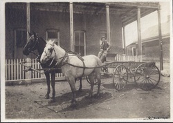 Rudolph Zadow, taken June 8, 1907---on Bateman Street in Eureka. He is driving the butcher wagon for People’s Market. 